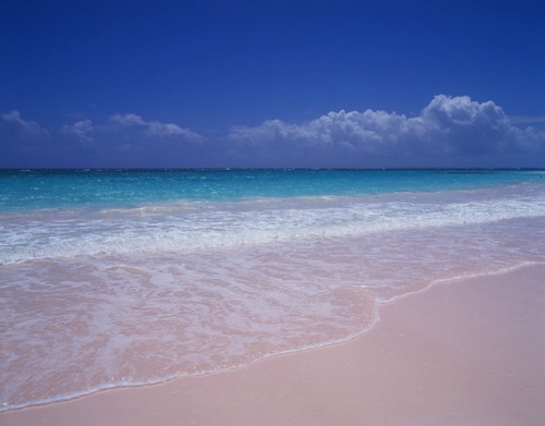 Pink Sand at Midday Harbour Island Bahamas (MF).jpg